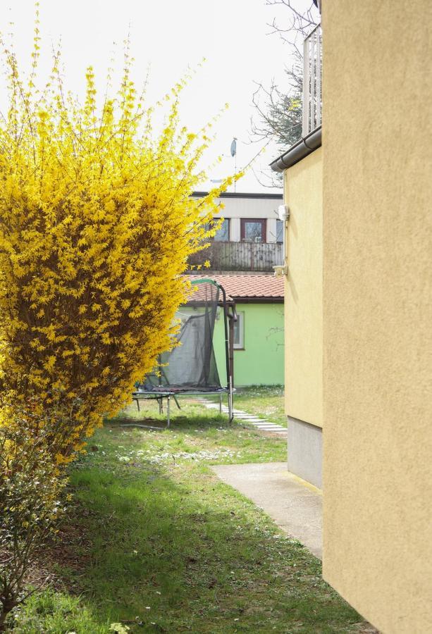 Small-Comfy Guest House In Donaustadt Garden - Not Shared! Vienne Extérieur photo
